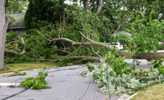 Image of a fallen tree across a road after a storm