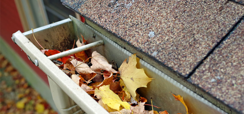 Image of a gutter full of leaves