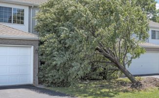 Tree falling on two houses