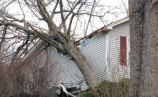Tree causing damage after falling on home