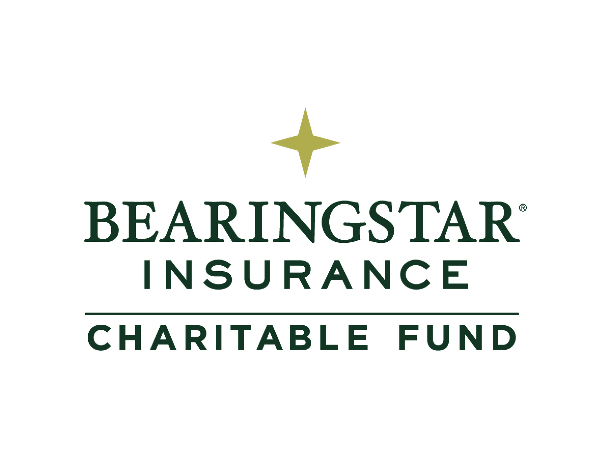 Bearingstar Insurance Charitable Fund Year In Review 2017 Bearingstar